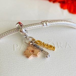 Pandora Canada charm